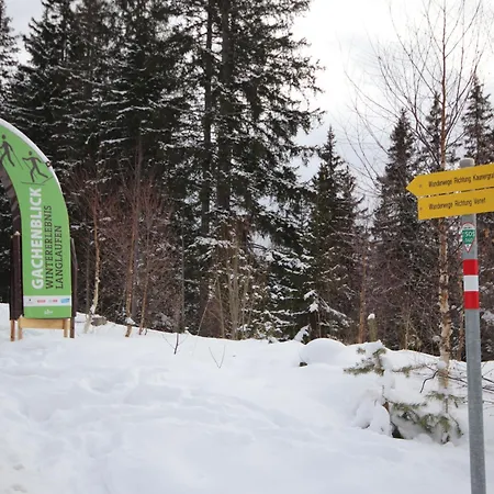 Leni-1 By Interhome Fliess