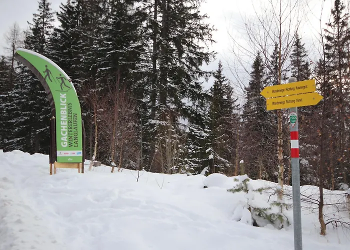 Leni-1 By Interhome Fliess